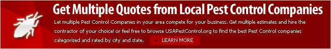 Pest Control Quotes